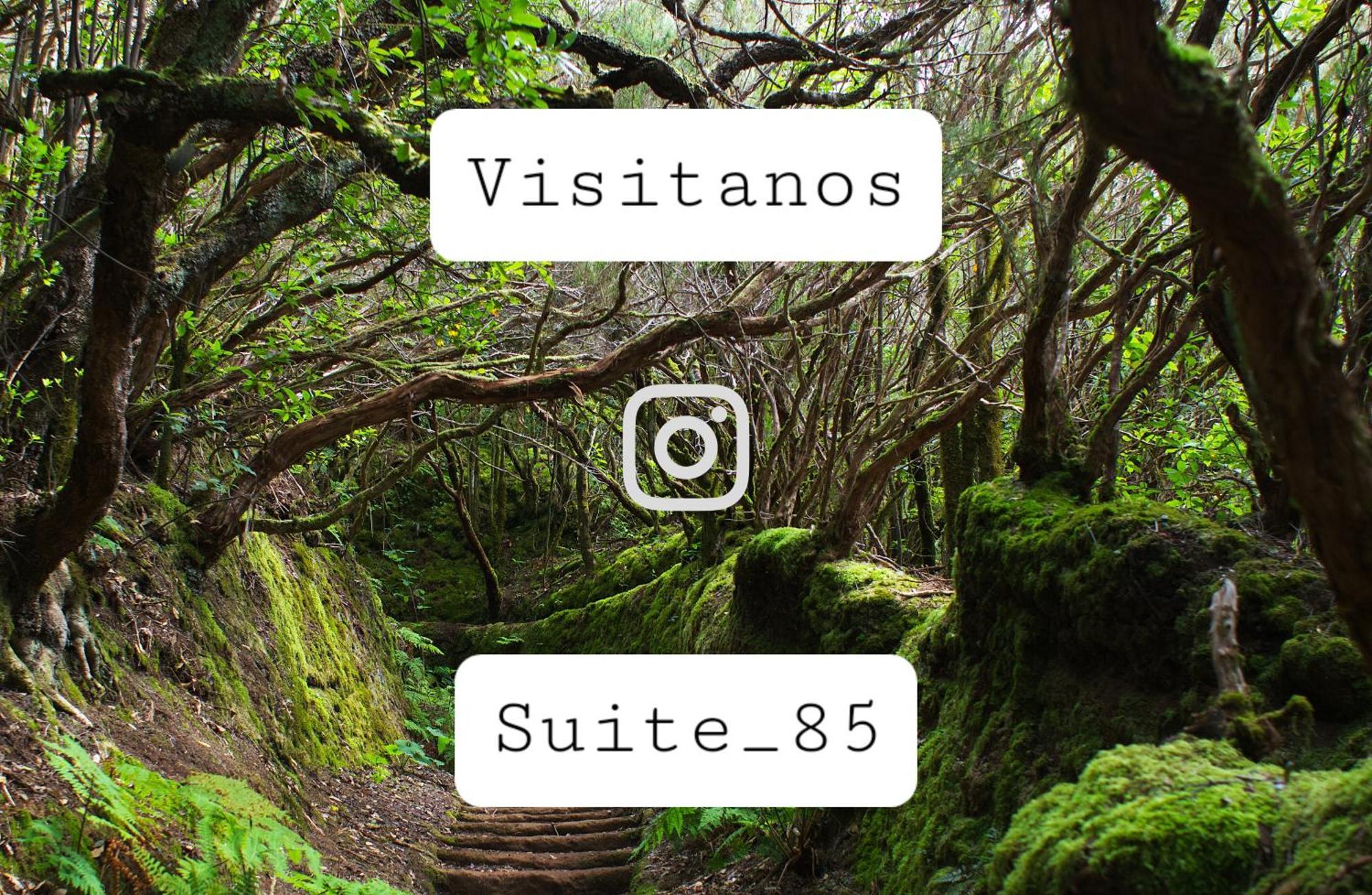 Suite 85, Villa Boutique Privada Con Piscina Icod De Los Vinos Esterno foto