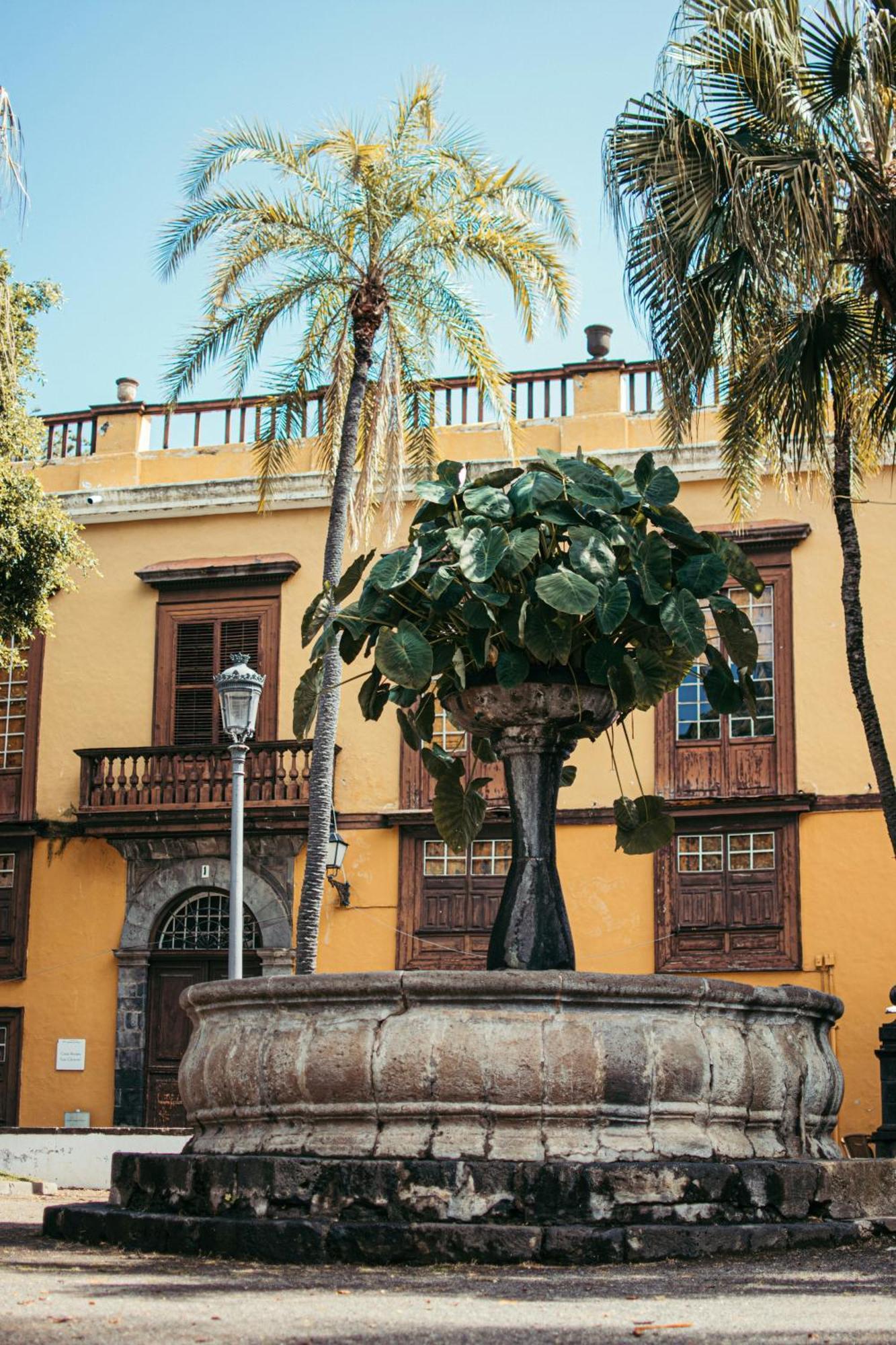 Suite 85, Villa Boutique Privada Con Piscina Icod De Los Vinos Esterno foto